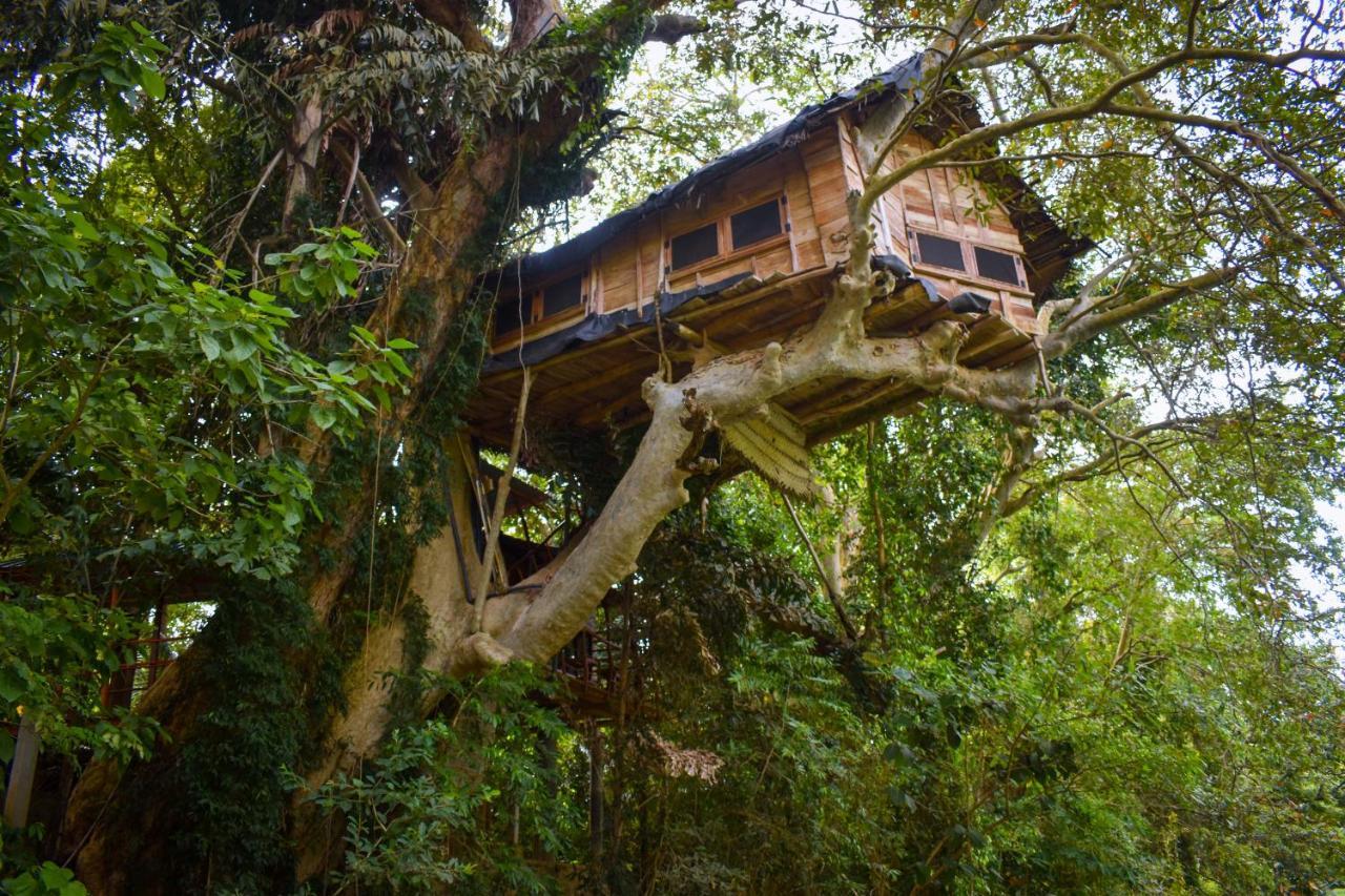 Kumbuk Tree House Villa Tissamaharama Exterior photo