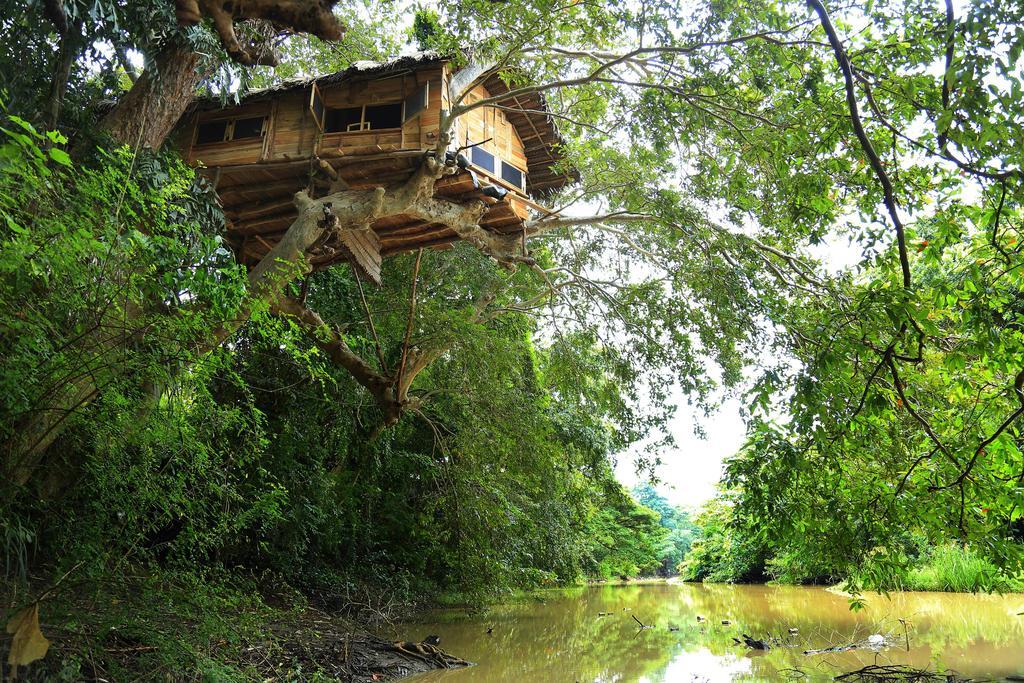 Kumbuk Tree House Villa Tissamaharama Exterior photo