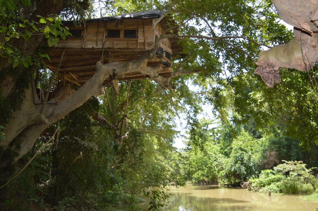 Kumbuk Tree House Villa Tissamaharama Exterior photo